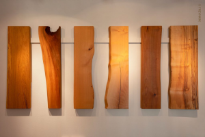 Muster von ge&ouml;ltem Massivholz: Eiche, Platane, Buche, Ahorn, Kirsche und Nu&szlig;baum.